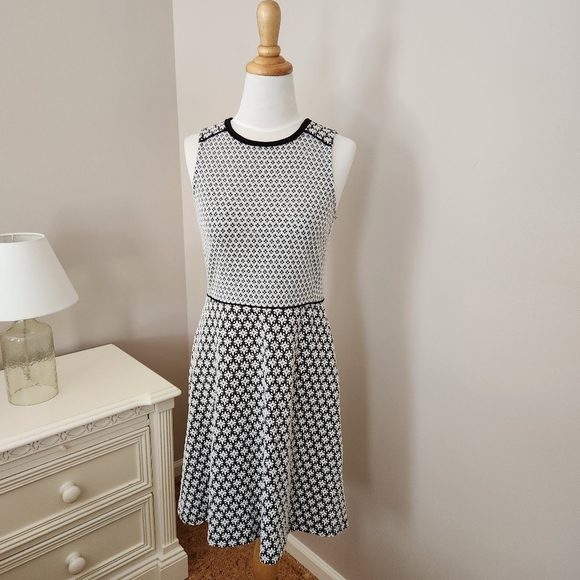 NWT LOFT KNIT DRESS - Picture 1 of 7